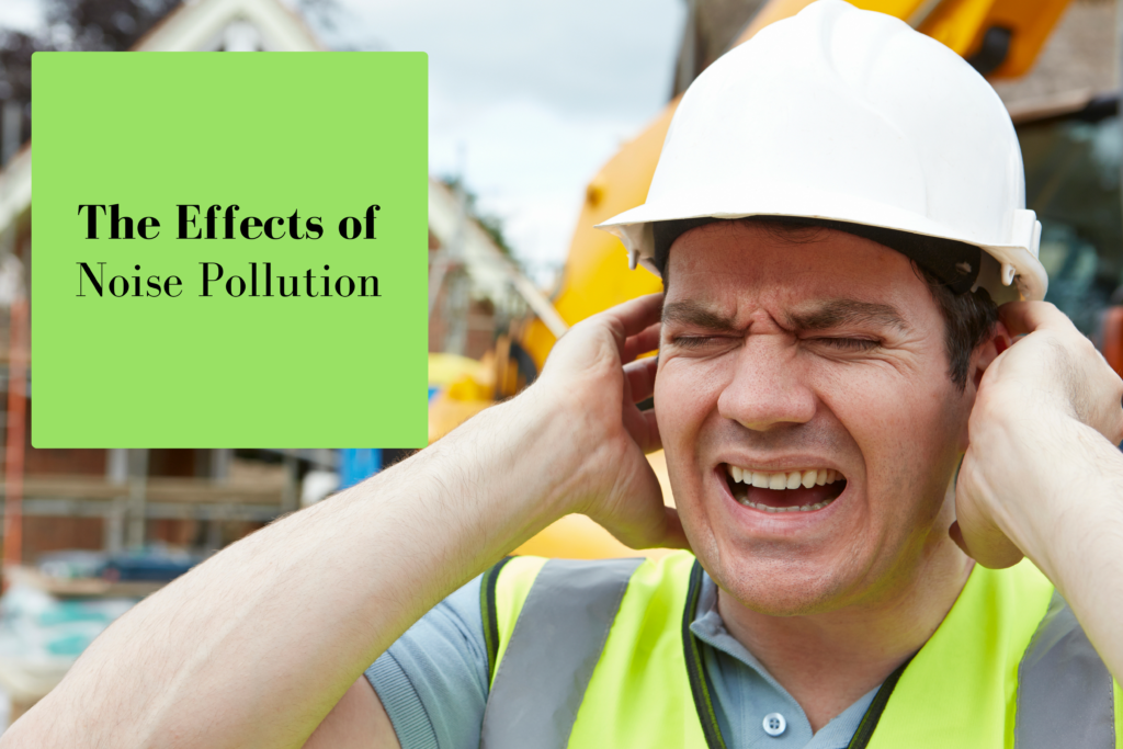 effects of noise pollution